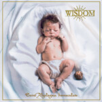 26. Wisdom Saint Algolagnia Immaculate Cd (2024)